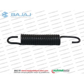 Bajaj Pulsar N160 Sehpa Yayı Alt