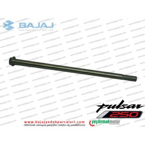 Bajaj Pulsar F250 Aks Mili Arka