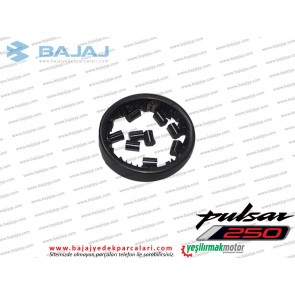 Bajaj Pulsar F250 İlk Hareket Plakası