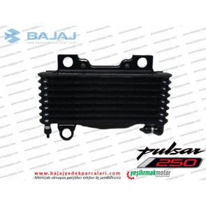 Bajaj Pulsar F250 Yağ Soğutucu Paneli