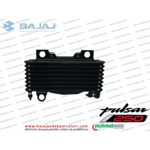 Bajaj Pulsar N250 Yağ Soğutucu Paneli