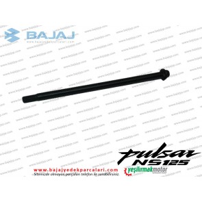 Bajaj Pulsar NS125 Aks Mili Arka - CBS VE ABS MODELİ
