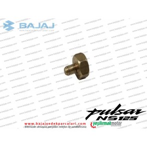 Bajaj Pulsar NS125 Sehpa Yan Müşür Karşılığı Mıknatıslı Cıvata - CBS